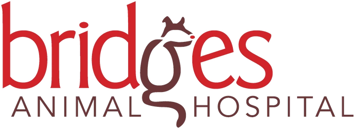 Bridges Animal Hospital at Ada Village